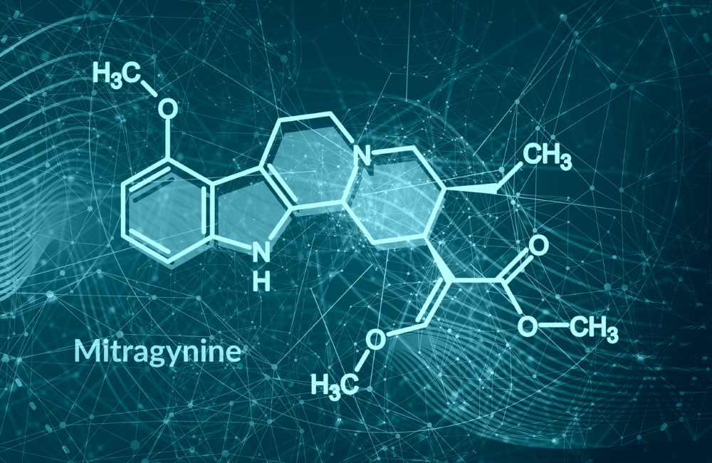 Kratom droga nebo lék